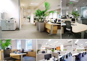 南汇办公室装修 祝桥办公室木地板装修 祝桥写字楼装修价格 厂家 图片