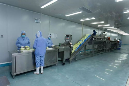 个性化定制 代言你的与众不同，走进会员企业的独特风采